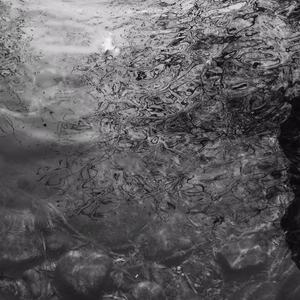 特大黑人巨董破女处视频
